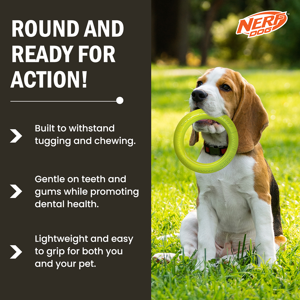 Nerf Dog Dental Tug Ring Toy for Dogs (Green) Dogs-Toys Nerf