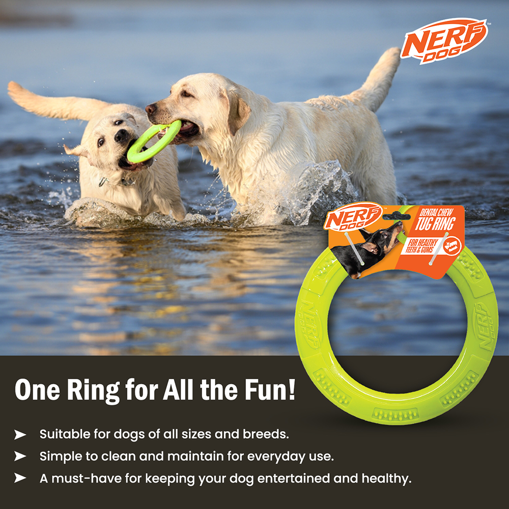 Nerf Dog Dental Tug Ring Toy for Dogs (Green) Supertails