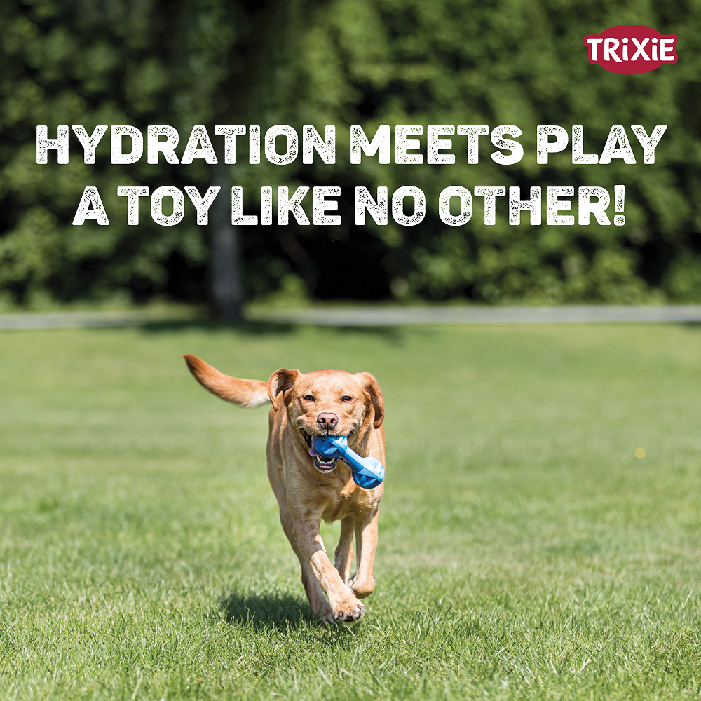 Trixie Cooling Dumbell Chew Toy for Dogs Dogs-Toys Trixie