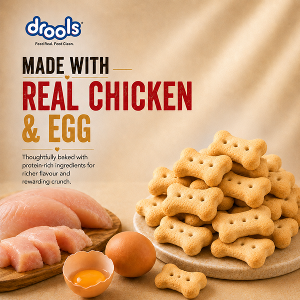 Drools Chicken and Egg Biscuit Dog Treats
