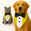 PawsIndia Yellow Tuxedo Bandana with Black Bow for Dogs and Cats Both-Clothing & Accessories Pawsindia Dropship