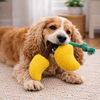 Pawgypets Mango Plush with Rope Toy for Dogs (Yellow) Dogs-Toys Pawgypets Dropship
