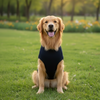 Pawgy Pets Bunny Ears Hoodie Sweatshirt for Dogs and Cats Dogs-Clothing & Accessories Pawgypets Dropship