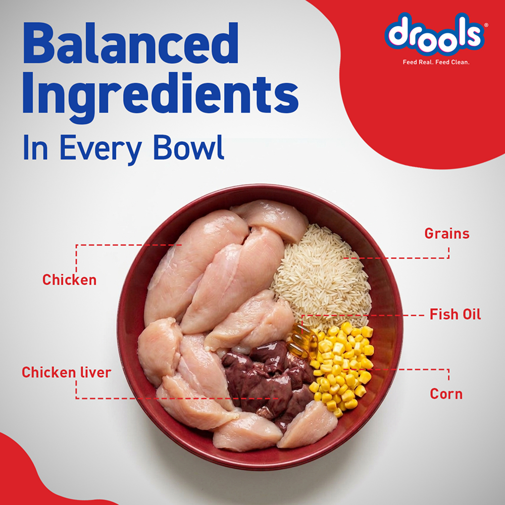 Drools Optimum Performance Adult Dog Dry Food Dogs- Dry Food Drools