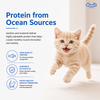 Drools Ocean Fish Kitten Cat Dry Food Cats- Dry food Drools