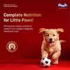 Drools Meat and Milk Puppy Dog Dry Food Dogs- Dry Food Drools