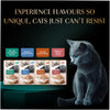 Sheba Maguro & Bream Fish Mix Premium Cat Wet Food Cats-Wet Food Sheba
