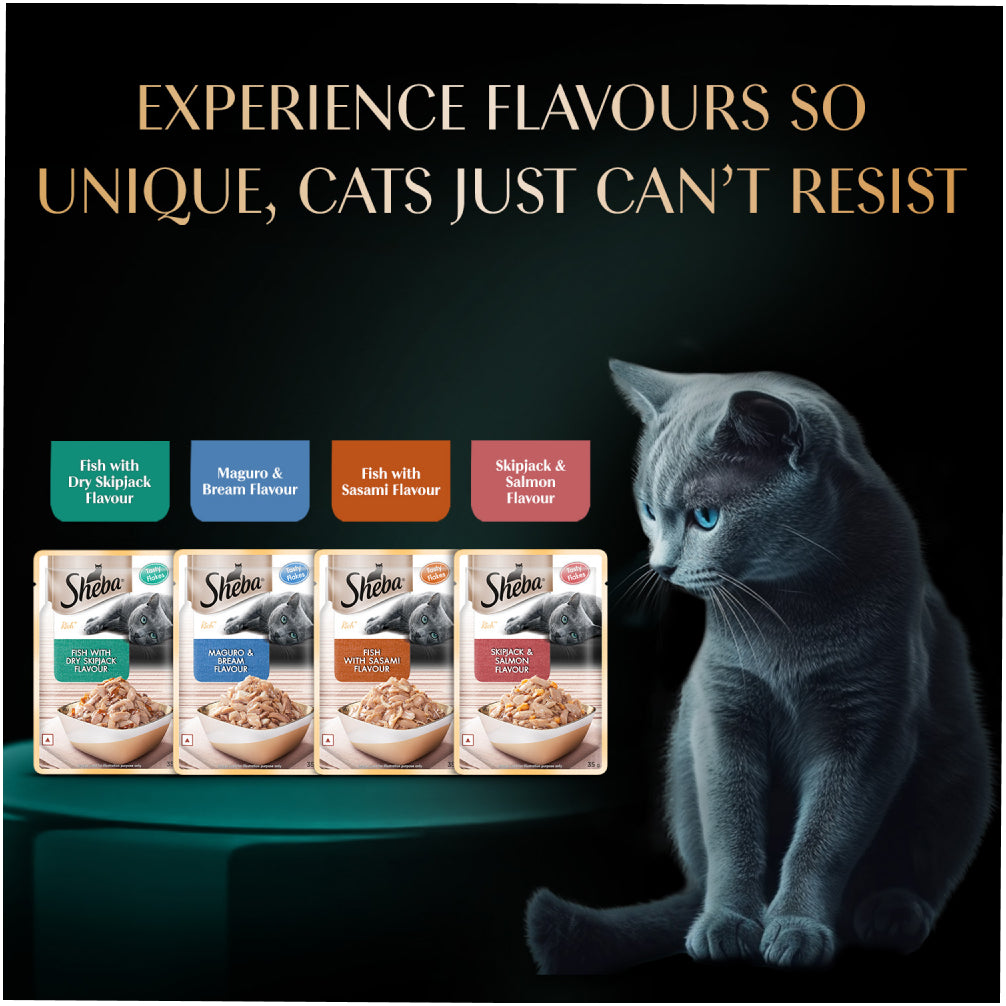 Sheba Fish with Sasami Premium Cat Wet Food
