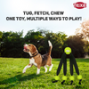 Trixie Ball on a Strap Toy for Dogs (Green) Dogs-Toys Trixie