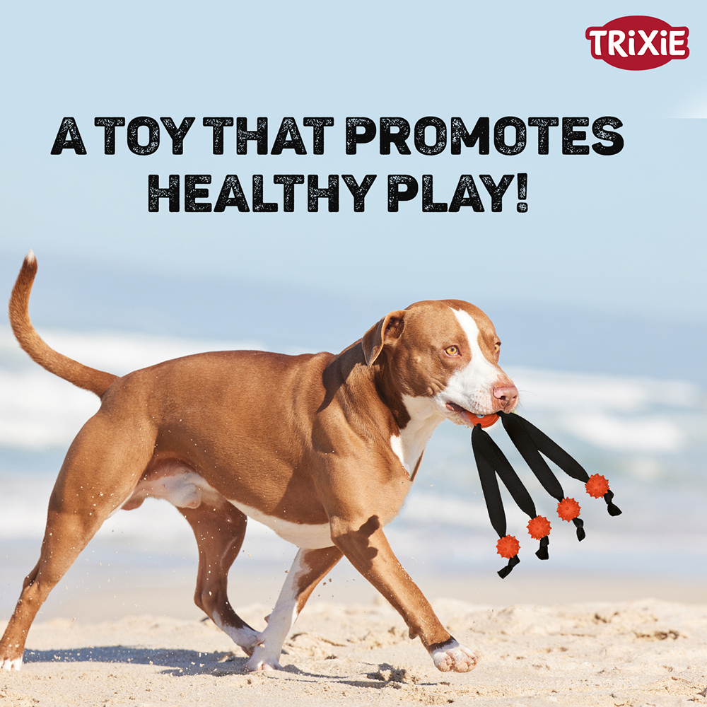 Trixie Ball with Strap Legs for Dogs (Orange)
