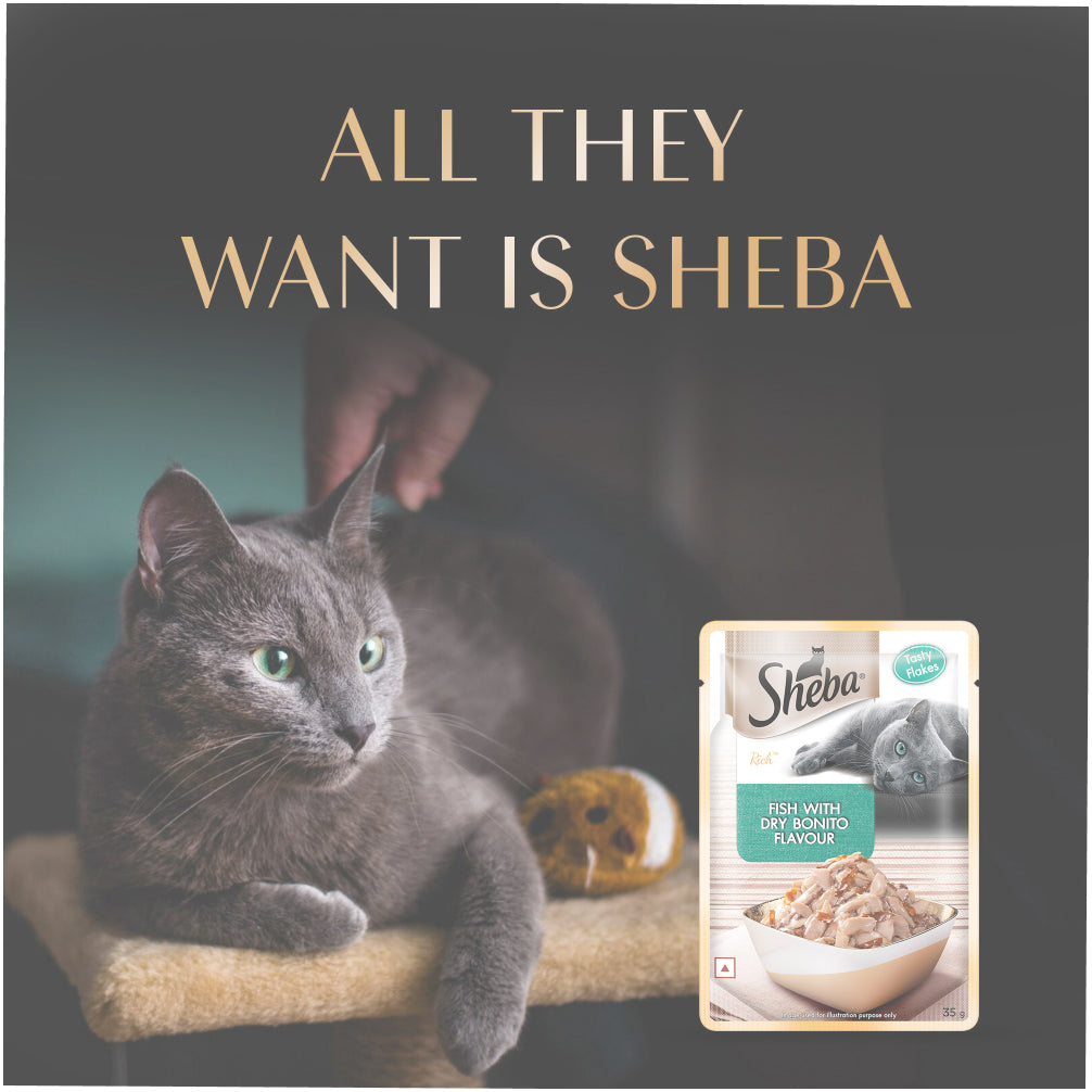 Sheba Maguro & Bream Fish Mix Premium Cat Wet Food