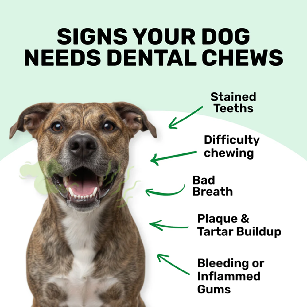 Absolut Pet Oral Care Plaque & Tartar Remover Chews Dog Supplements Dogs-Health & Wellness Absolut Pet