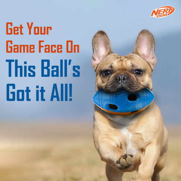 Nerf Bash Squeak and Crunch Football Toy for Dogs (Blue/Orange)
