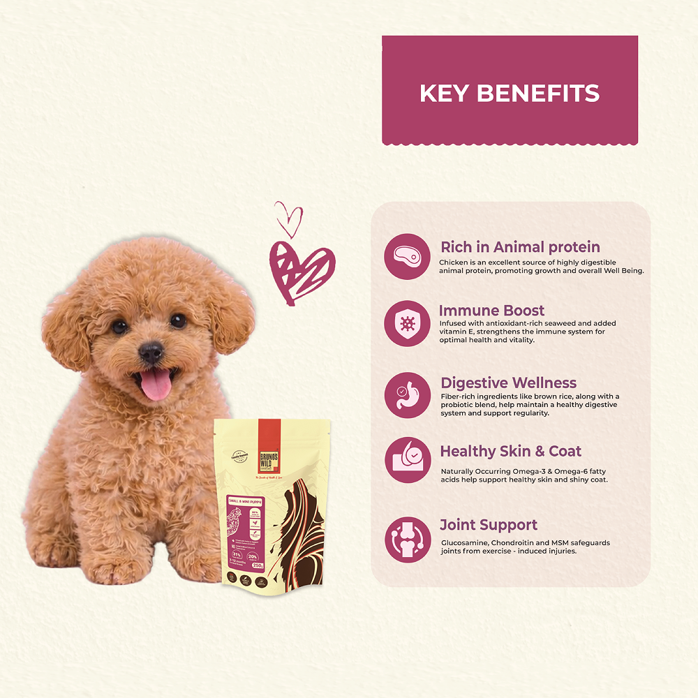 Bruno's Wild Essentials Small and Mini Puppy Dog Dry Food Dogs- Dry Food Bruno's Wild Essentials