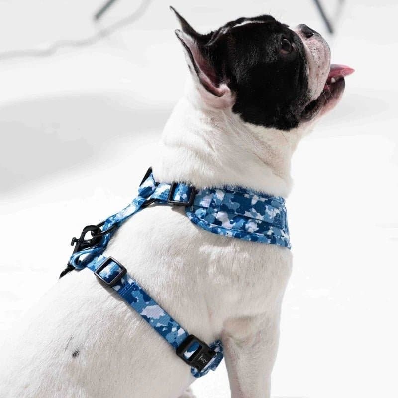 Furry & Co Cool Camo No Pull Harness, Leash and Collar for Dogs Combo - S