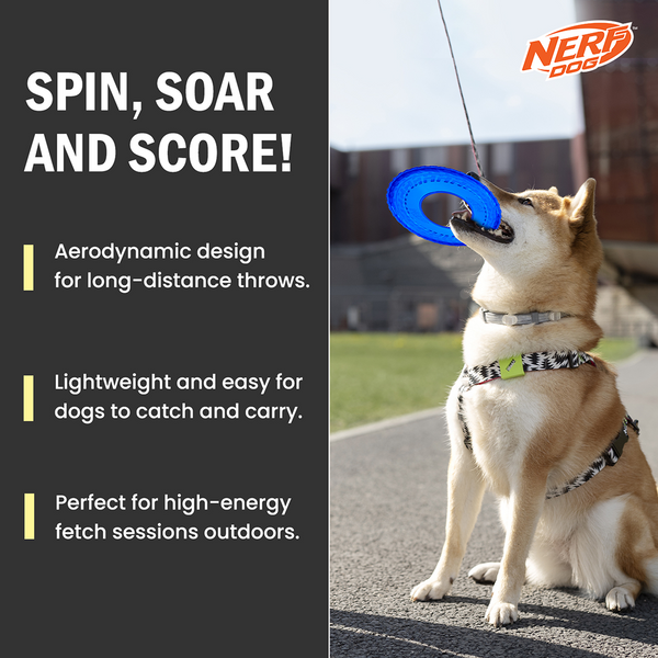 Nerf Dog Translucent Tire Flyer TPR Toy for Dogs (Blue)