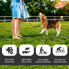Nerf Dog Translucent Tire Flyer TPR Toy for Dogs (Blue)