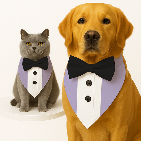 PawsIndia Lilac Tuxedo Bandana with Black Bow for Dogs and Cats