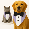 PawsIndia Lilac Tuxedo Bandana with Black Bow for Dogs and Cats Both-Clothing & Accessories Pawsindia Dropship