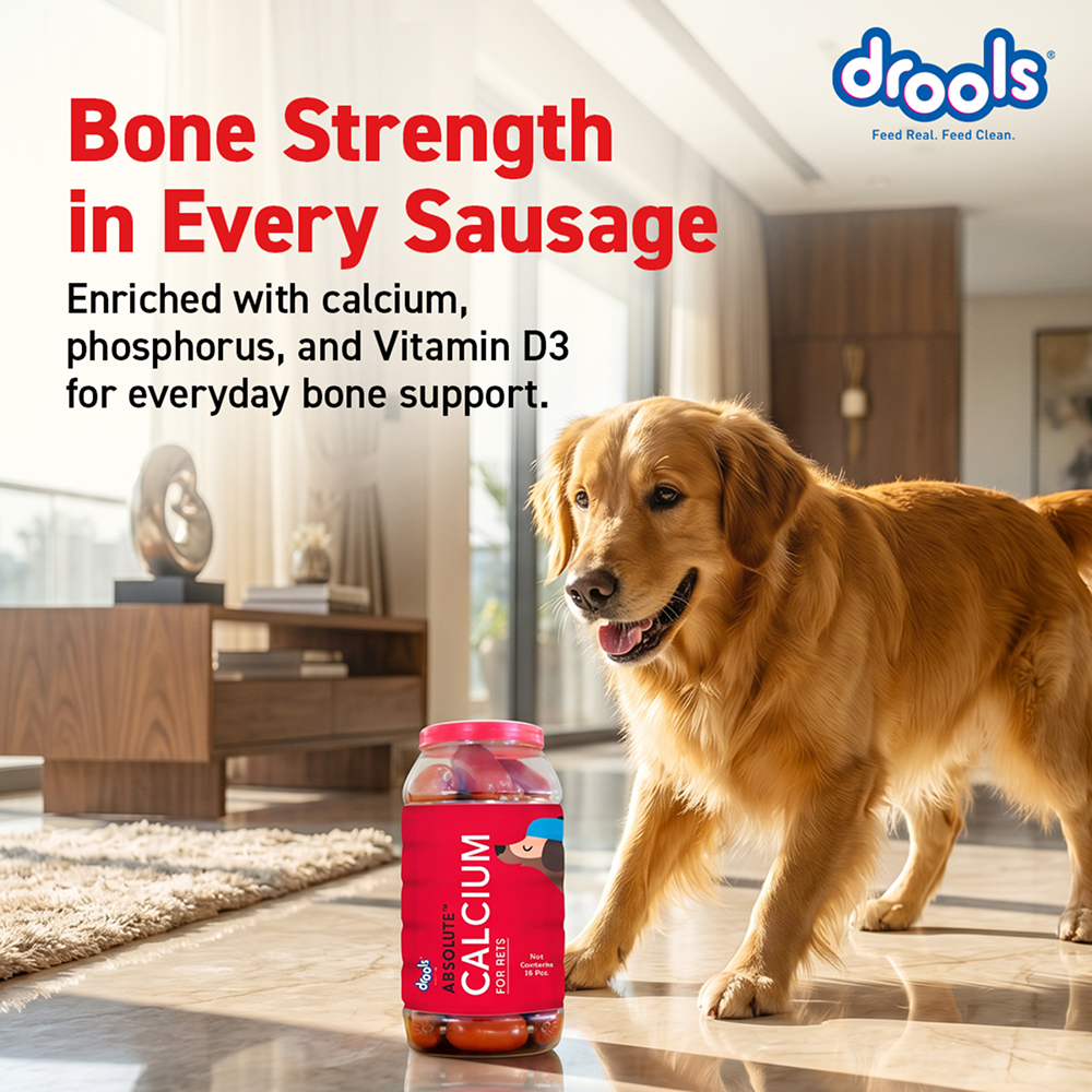 Drools Absolute Calcium Sausage Supplement for Dogs Dogs-Health & Wellness Drools