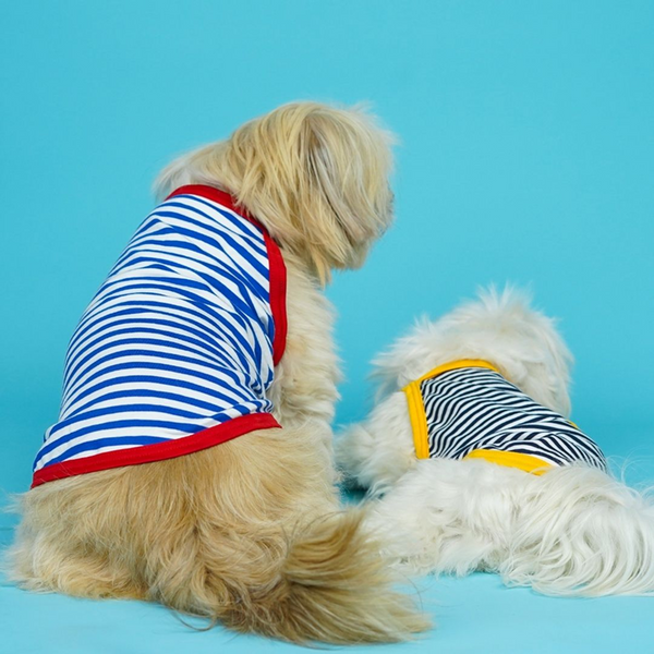Pets Way Fetch Vest Combo for Dogs (Pack of 3)