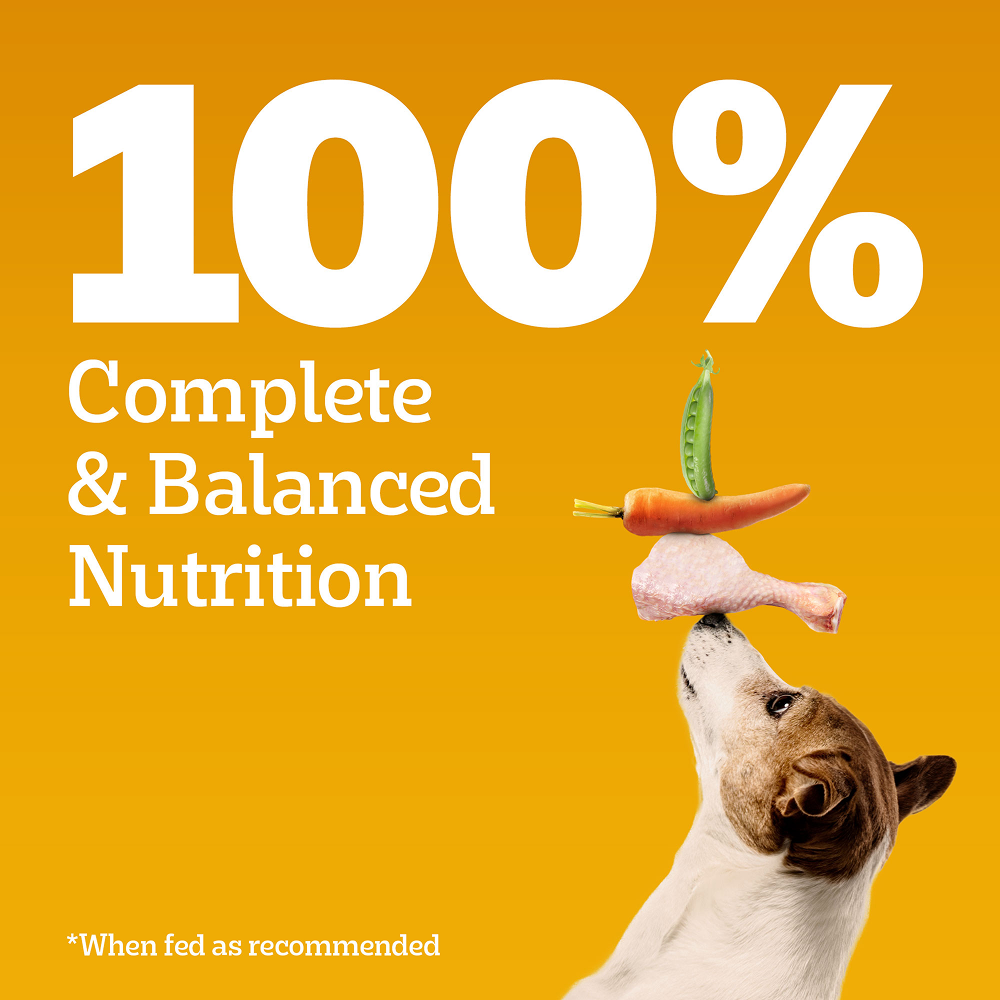 Pedigree 100% Vegetarian Puppy and Adult Veg Dog Dry Food