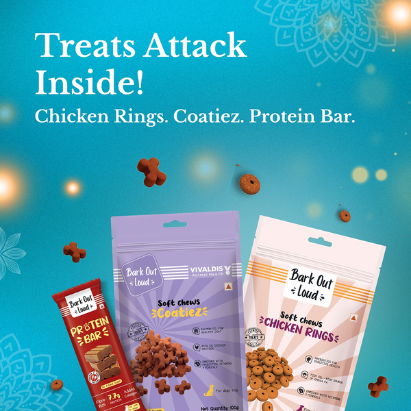 Bark Out Loud Festive Gift Box for Dogs