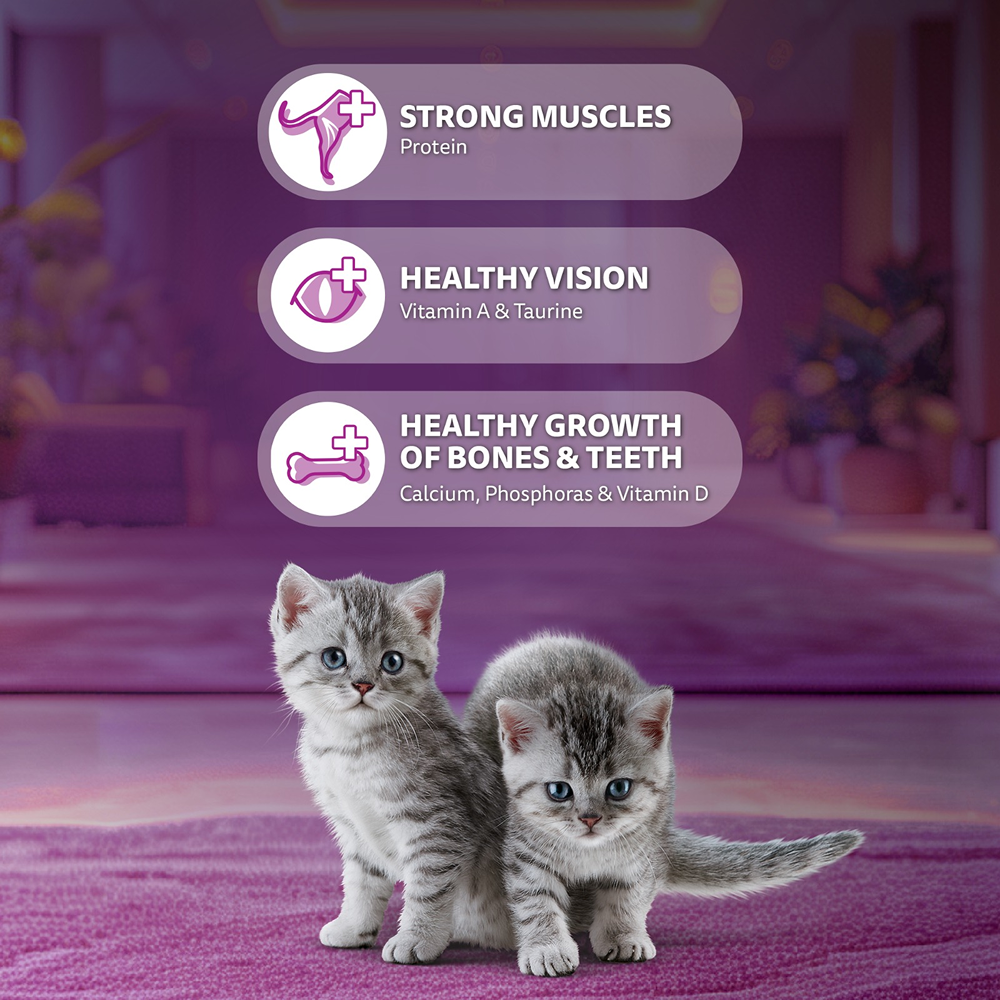 Whiskas Mackerel Flavour Kitten (2 to 12 months)Cat Dry Food Cats- Dry food Whiskas