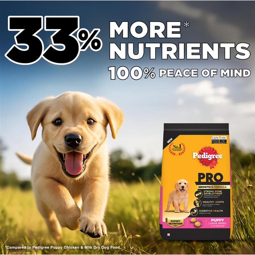 Pedigree PRO Expert Nutrition for Large Breed Puppy (3 to 18 Months) Dog Dry Food Dogs- Dry Food Pedigree PRO