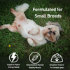 Homiee & Ginger Grain Free Mini Meals Surf & Turf, Fish Feista, Chicken & Barley Food for Dogs Combo Dogs-Wet Food Homiee & Ginger