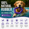 Talking Dog Club Sturdy Hexagon Floater Chew Toy for Dogs (Purple) Dogs-Toys Talking Dog Club Dropship