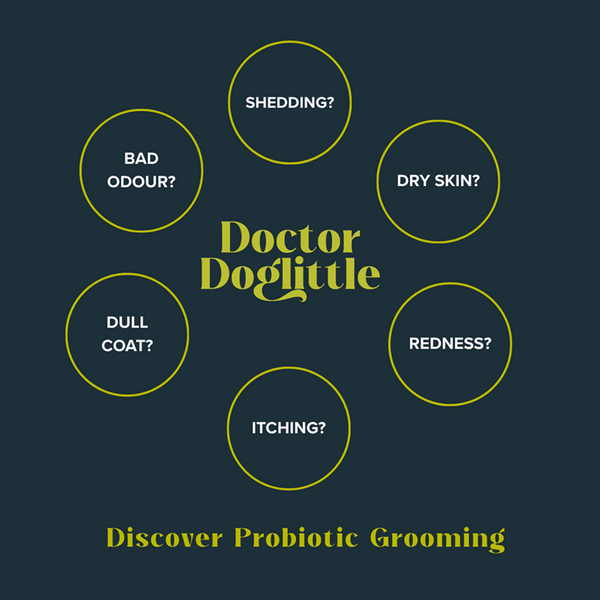 Doctor Doglittle Probiotic Sensitive Skin 2 in 1 Shampoo Conditioner for Dogs