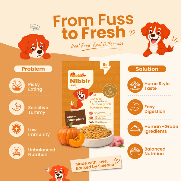 Nootie Nibblr Fresh Wholesome Ready to Eat Meal Daily Chicken Liver with Pumpkin Dog Wet Food