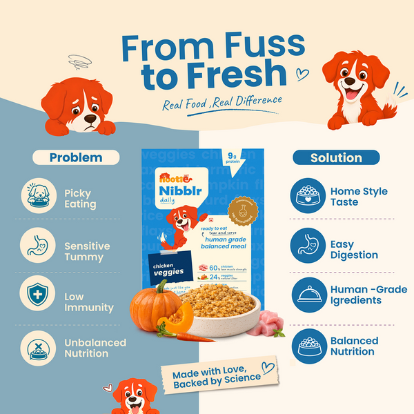 Nootie Nibblr Fresh Wholesome Ready to Eat Meal Daily Chicken Veggie And Rice Dog Wet Food