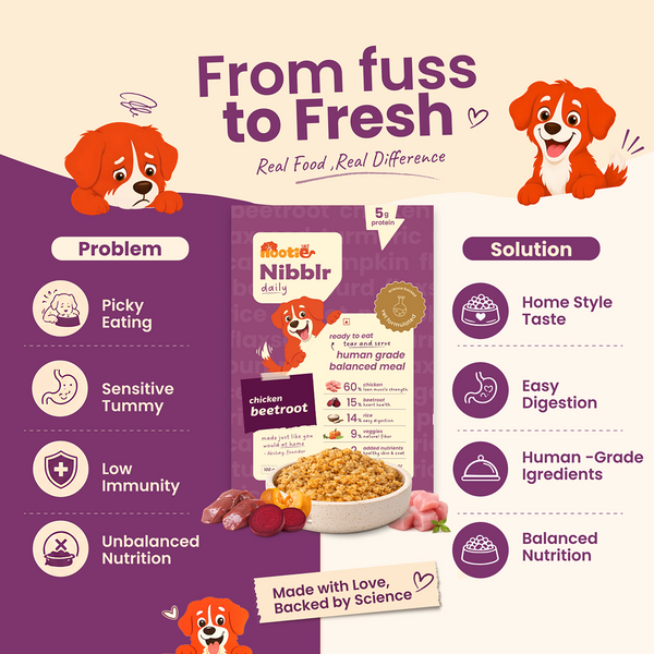Nootie Nibblr Fresh Wholesome Ready to Eat Meal Daily Chicken Liver Beetroot & Rice Dog Wet Food