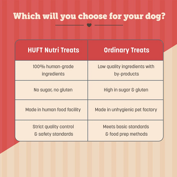 HUFT Gluten Free Nutri Chicken Liver Recipe Skin & Coat Support Dog Treats