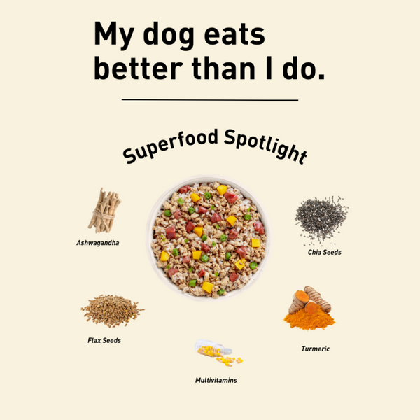 Homiee & Ginger Power Bowl Surf & Turf, Fish Fiesta and Chicken & Barley Fresh Food for Dogs Combo