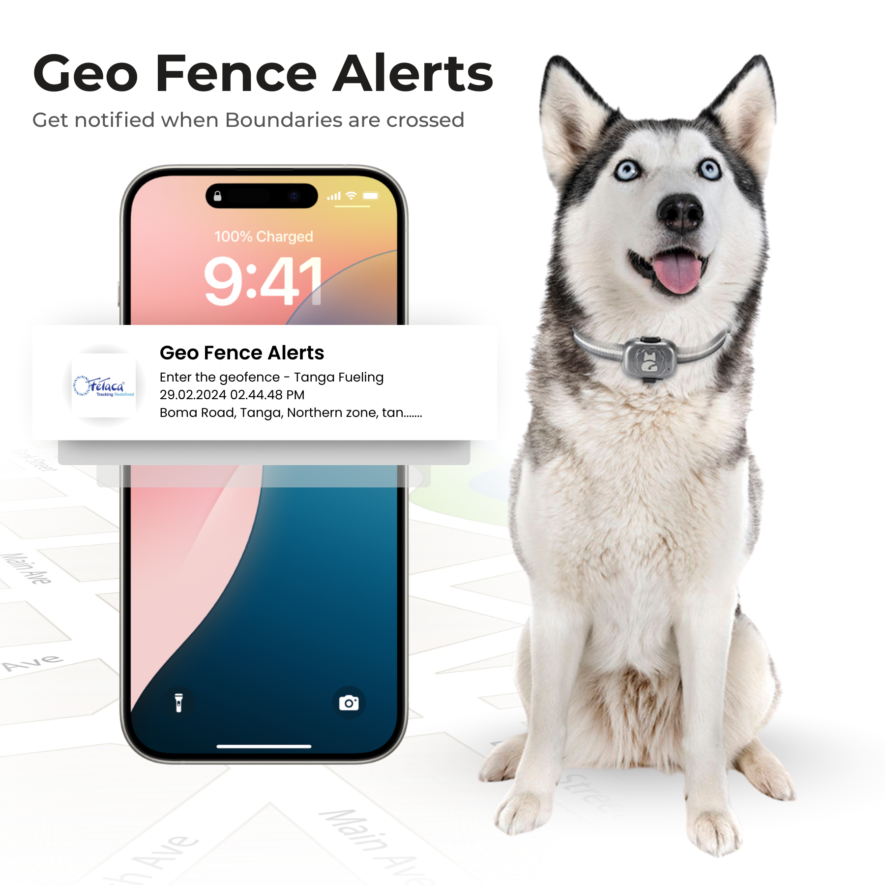 FeTaca G16 Smart 4G GPS Waterproof Mini Collar Tracker with Free 12 Month Tracking App Subscription for Dogs and Cats (Grey)