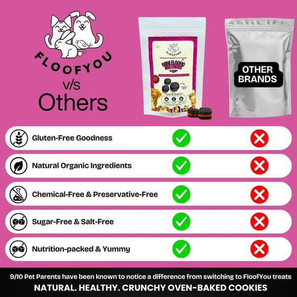 Floofyou Mini Floofio Beetroot Vegan Oven Baked Cookie Dog Treats