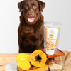 Floofyou Mango Papaya Vegan Oven Baked Cookie Dog Treats Dog Treats + Others FloofYou