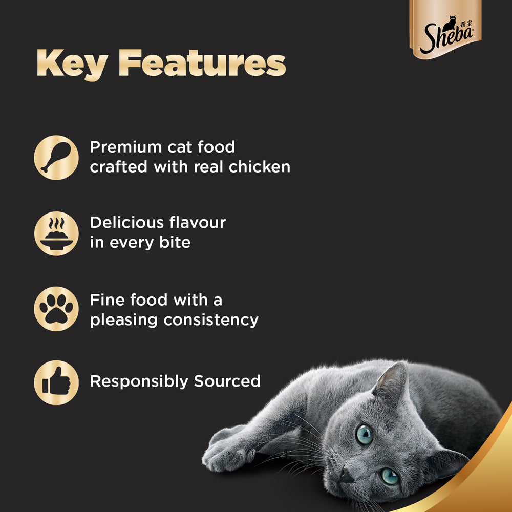 Sheba Chicken Loaf Rich Premium Adult Fine Wet Food and Chicken All Life Stage Cat Dry Food Combo Exclusive Combo Sheba