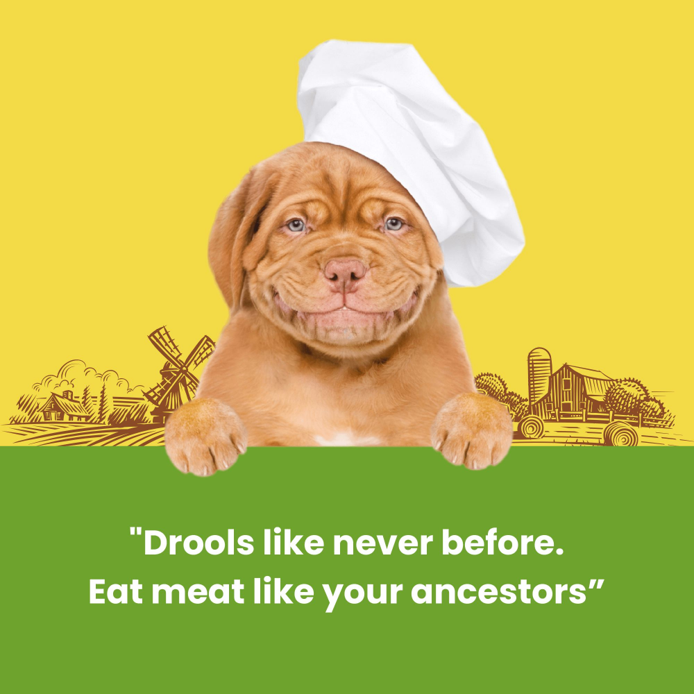 Dogfest Rabbit Meat Sticks Dog Treats (Limited Shelf life) Dog Treats + Others Petfest