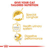 Royal Canin Persian Adult Loaf Cat Wet Food Cats-Wet Food Royal Canin