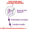 Royal Canin Giant Adult Dog Dry Food Dogs- Dry Food Royal Canin