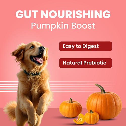 Bark Out Loud Collagen Protein Bar Chicken & Fish Treat for Dogs Dog Treats + Others Bark Out Loud