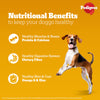 Pedigree PRO Large Breed Puppy Dry Food, Pedigree Chicken Liver Gravy Adult Dog Wet Food Combo Exclusive Combo Exclusive Combo