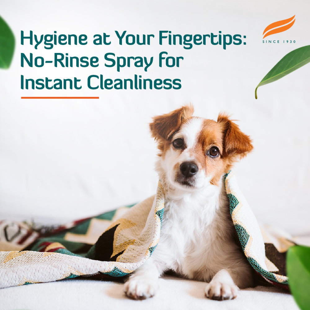 Himalaya Fresh Coat No Rinse Spray & Furlicks Gut Health Supplement Dog & Cat Combo Exclusive Combo Exclusive Combo