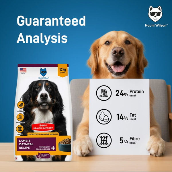 Hachi Wilson Premium Lamb & Oatmeal Dog Dry Food