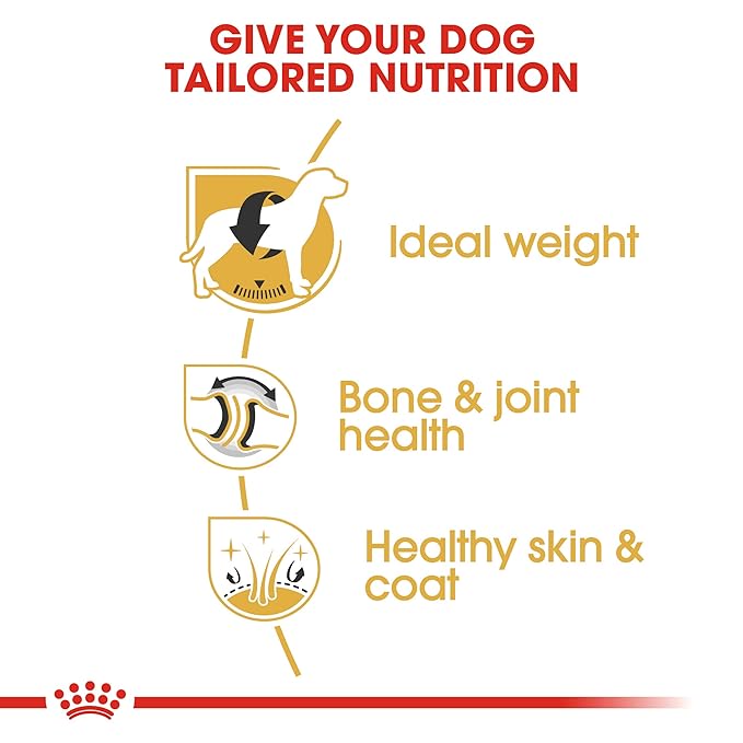 Royal Canin Labrador Retriever Adult Dog Dry Food Dogs- Dry Food Royal Canin