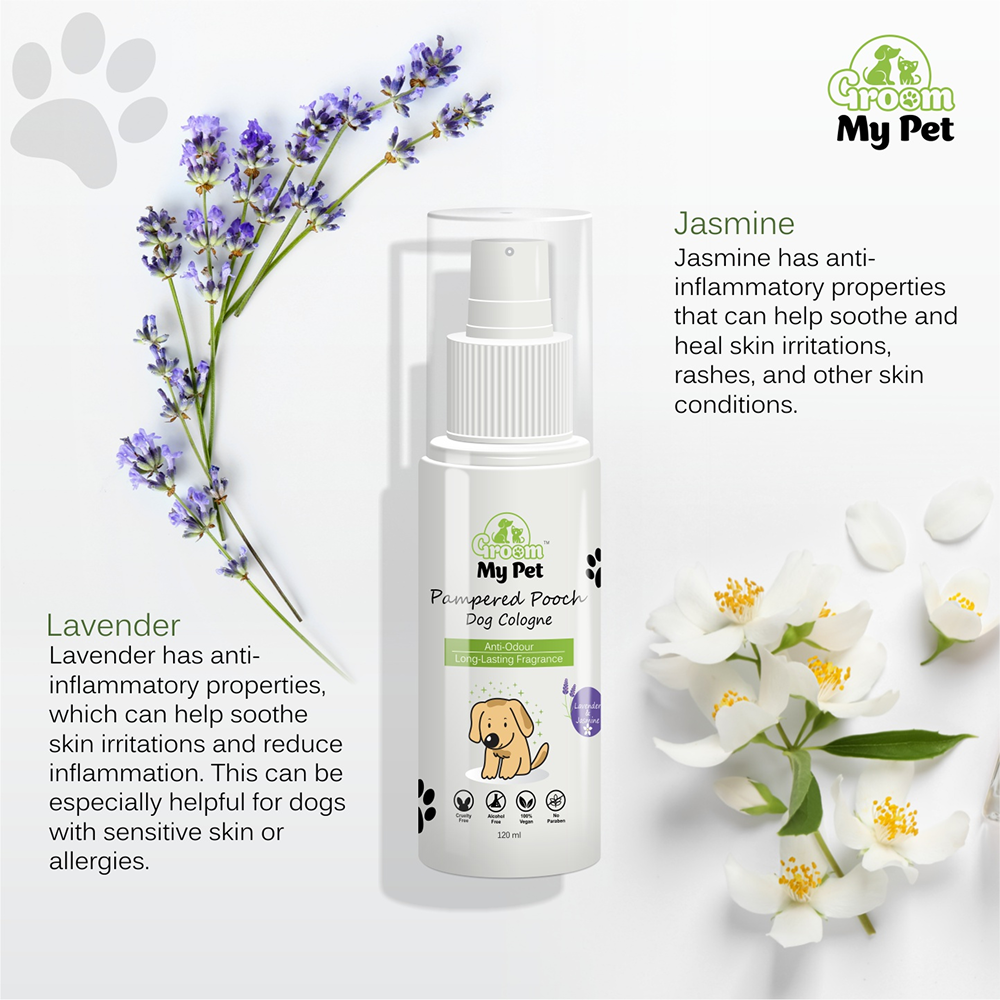 Groom My Pet Lavender and Jasmine Pampered Pooch Cologne for Dogs Dogs-Grooming Supplies Groom My Pet Dropship